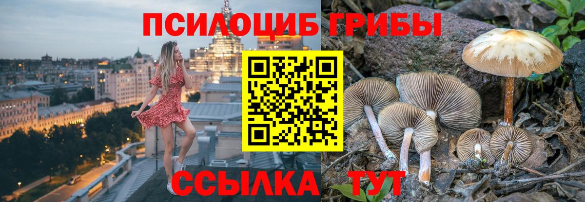 Псилоцибиновые грибы Psilocybine cubensis  купить наркотик  Екатеринбург  Вход с VPN 